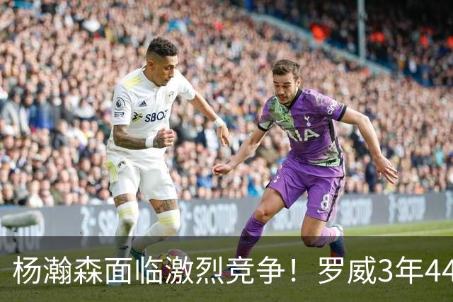 杨瀚森面临激烈竞争！罗威3年4400万美元续约开拓者